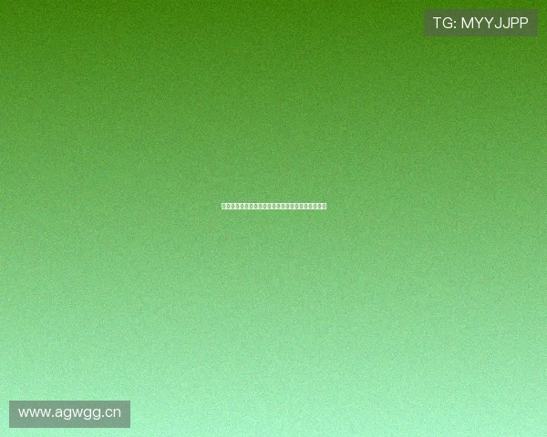 极速对决与速度激情竞速体育完整版精彩呈现全纪录